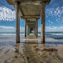 Icon of San Diego by Peter Tellone
