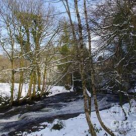 Icy River Avon, South Brent, Devon UK by Lesley Evered