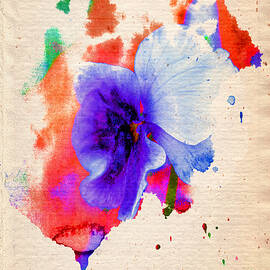 If You Believe In Pansies, Clap Your Hands by Rene Crystal