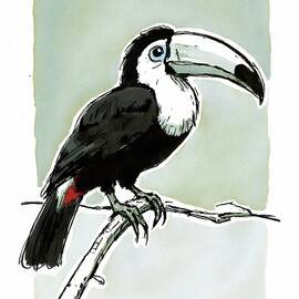 illustration of a toucan perched on a branch by Wall Art Prints