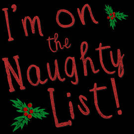 Im On The Naughty Lis Retro by Flippin Sweet Gear