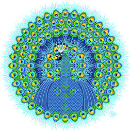 Indian Peacock Mandala by Tim Phelps