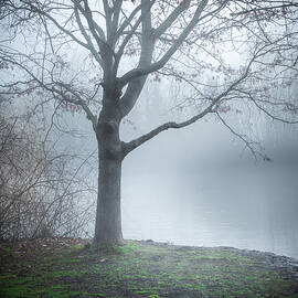 Indiana by Brian Venghous