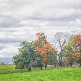 Indiana Woodlot - Fall Foliage by Bob Decker