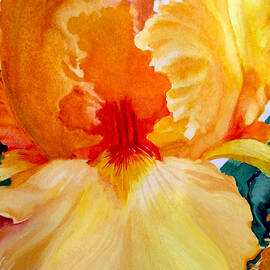 Iris in Watercolor by Susan Buscho