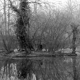 Island Trees Reflected BW by Lynne Iddon