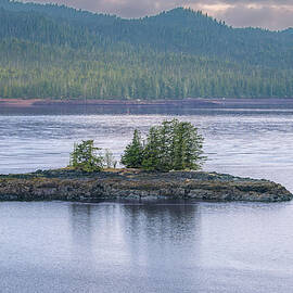 Island Trees Serenity by Bill Posner