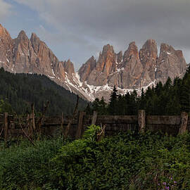 Italian Crooked Fenceline by Norma Brandsberg