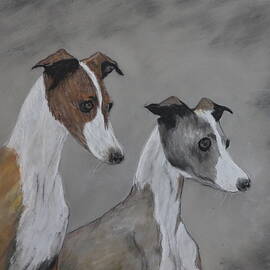 ITALIAN GREYHOUNDS 1250 pastels by Dreamz -