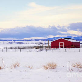 It's Cold by Bob Lentz