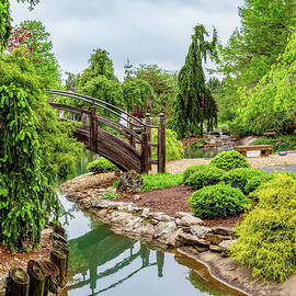 Japanese Botanical Spring Scene by Jennifer White