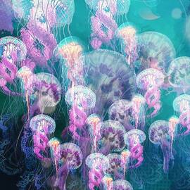 Jellyfish Storm by Jeremy Lyman