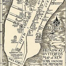 John Held Jr - The Broadway Butterfly's Map of New York showing the Primrose Path - c.1930 by Vintage Map