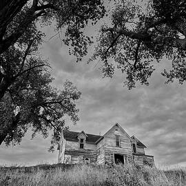 June 2022 Haunted House 2 by Alain Zarinelli