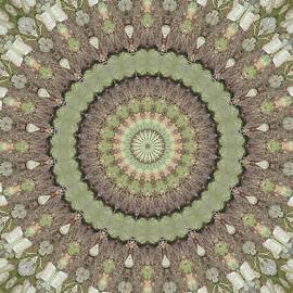 Kaleidoscope 19 by Maria Trombas