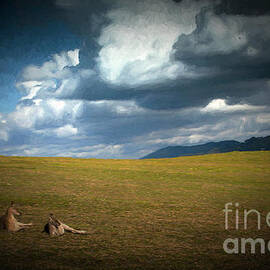 Kangaroos and approaching storm by Sheila Smart Fine Art Photography