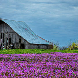 Kansas Spring Barn by Steven Bateson