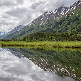 Kenai Lake Reflections Alaska by Joan Carroll