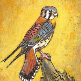 Kestral Against a Bronze Night by VLee Watson