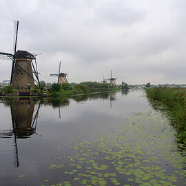 Kinderdijk Canal by Phyllis Taylor