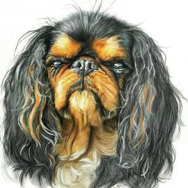 King Charles Spaniel in Watercolor by Barbara Keith