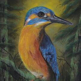 KINGFISHER 1502 pastels by Dreamz -