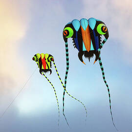 Kites - resubmit by Jeff Burgess