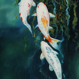 koi al buio by Guido Borelli