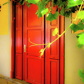 La Rouge Door by Andrea Whitaker