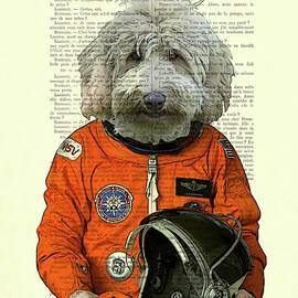 Labradoodle astronaut, space animal dictionary art print