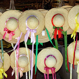 Ladies Straw Hats by Sally Weigand