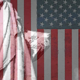 Lady Liberty American Flag by Dan Sproul