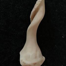 Lady Wonder by Catherine Wilson