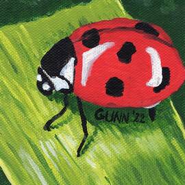Ladybug by Katrina Gunn