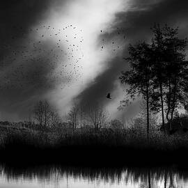 Lake Art In Monochrome  by Aleksandrs Drozdovs