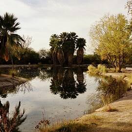 Lake in the Desert by Terry Groben