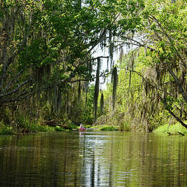 Lake Kissimmee State Park by Sally Weigand