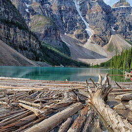 Lake Moraine with logs by Patricia Hofmeester
