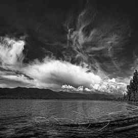 Lake Quinault 6-23-016 by Mike Penney