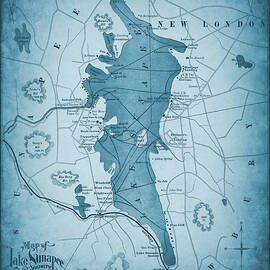 Lake Sunapee and Vicinity Vintage Map 1899 Blue by Carol Japp