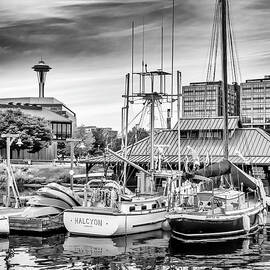 Lake Union in Seattle - Monochrome by Melanie Viola