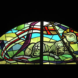 Lamb Stained Glass Window by Sally Weigand