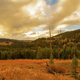Landscape Yellowstone  by Jeff Swan