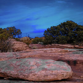 Landscape at Canyonlands  by Jeff Swan