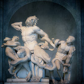 Laocoon and His Sons by Nancy Carol Photography