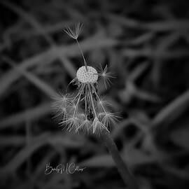 Last One Standing by Beverly M Collins