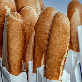 le pain quotidien Daily Bread - Celebrating the French Baguette by Phil Cardamone