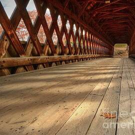 Leaf on a Bridge  by Steve Brown