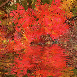 Leaf Reflections by Elaine Teague