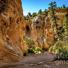 Leaving Willis Creek  Canyon by Robert Bales